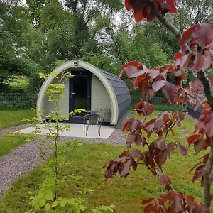 Campsite Mount Hillary Pods 